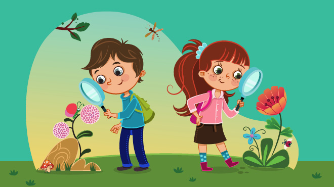 Curious Illustration